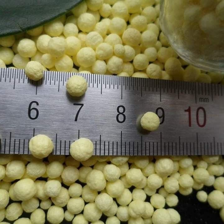 Close-up measurement of industrial granular sulphur